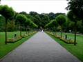 Der botanische Garten, ein beliebter Platz für Hochzeitsfotos