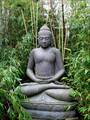 Buddha im Bambuswald