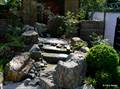 Steine, Wasser geformte Pflanzen - alles was ein Zen-Garten braucht
