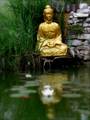 Nichts kann die Ausstrahlung von Gelassenheit des Buddha erschttern, ...